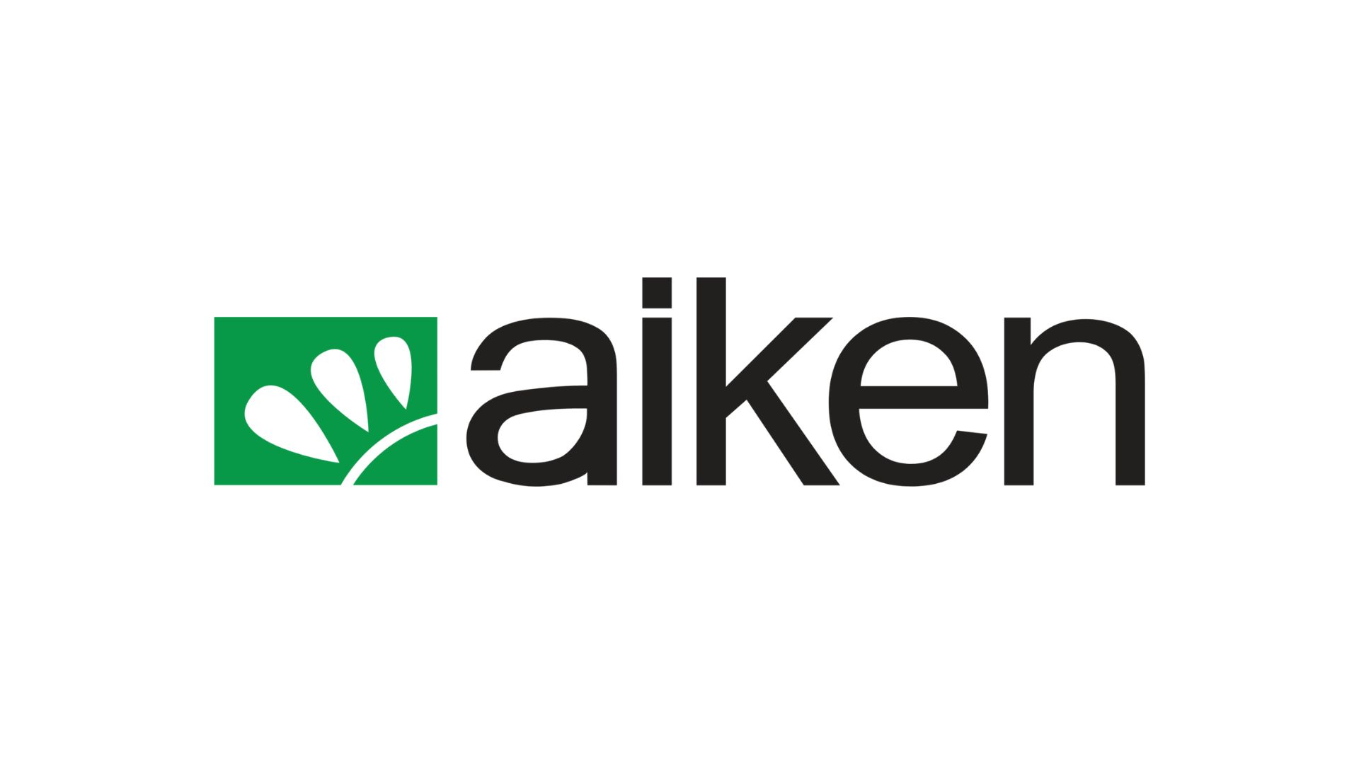 Foundation of Aiken Studio – Early Ukrainian Web Development